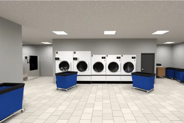 Laundry design 3D render, Why Laundry Design is So Important